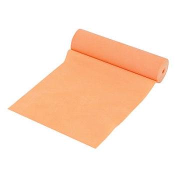 FEI 10-6221 FEI06221