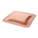 ALLEVYN&trade; 66020045 SMN20045
