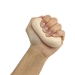 FEI 10-0958 FEI00958