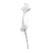 MIC* 0100-18 AVA10018
