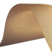 Smith & Nephew 483100 SMN83100